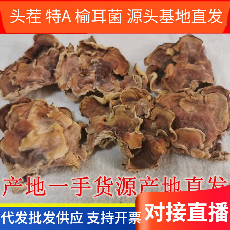 产地直发头茬级肉厚榆耳菌素食榆菇灵芝菇黄侧耳营养素食菌汤菇