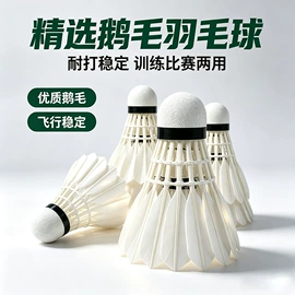 羽毛球
