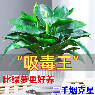 �����֟����ǡ����~��������҃Ⱥ��Bˮ��ֲ���k���ҿ͏d�ļ�����