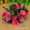 Rose Red