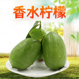云南香水柠檬 5斤酸爽多汁青柠檬鲜果子弹头柑橘新鲜水果