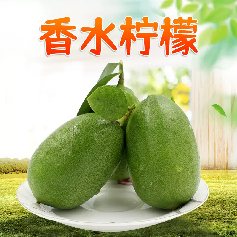 云南香水柠檬 代发5斤酸爽多汁商用青柠檬鲜果子弹头柑橘新鲜水果