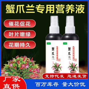 Crab Claw Orchid Special No-Dilution Nutrient Solution Plant-Type Foliar Spray for Greening, Flowering, and Root Strengthening