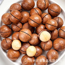 新货夏威夷果坚果奶油味500g夏果干果散装称斤年货孕妇零食批发