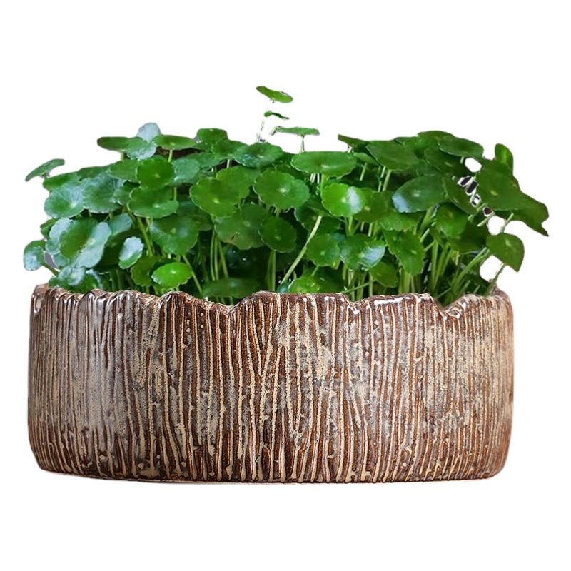 Hidropónico maceta de agua Hada durmiendo loto tazón de loto no agujero dinero Recaudación de agua gran cerámica cobre hierba cuenca especial ventas directas de fábrica