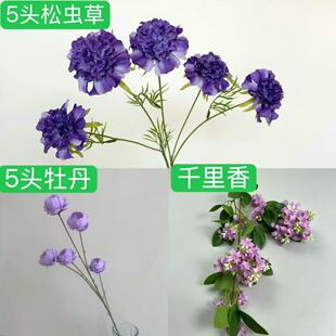 5�^ĵ�� 5�^���x�� ǧ������滨��c�廨�b���ܽ�ز軨