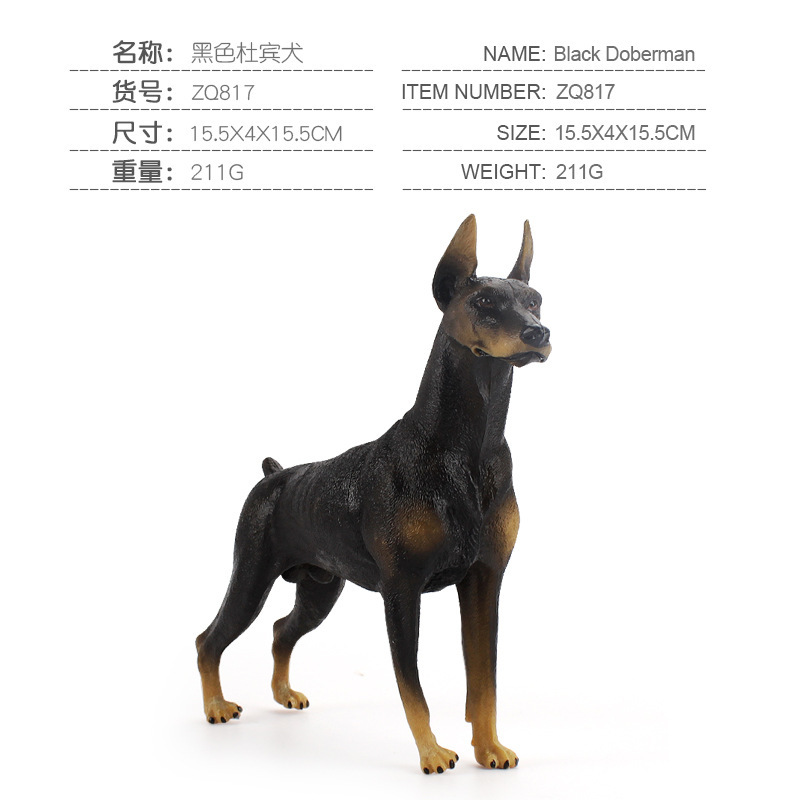 817 Doberman negro 2111G