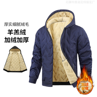 �W�a2025�����ӽq�Bñ��ů���������q�Ӻ����������׿羳�W�a