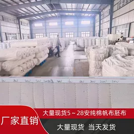 帆布;其他麻类面料;棉坯布