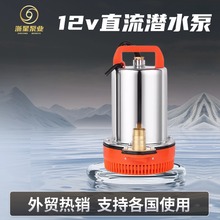 直流潜水泵外贸跨境电瓶专用抽水泵农用灌溉浇菜小型12v24v抽水机