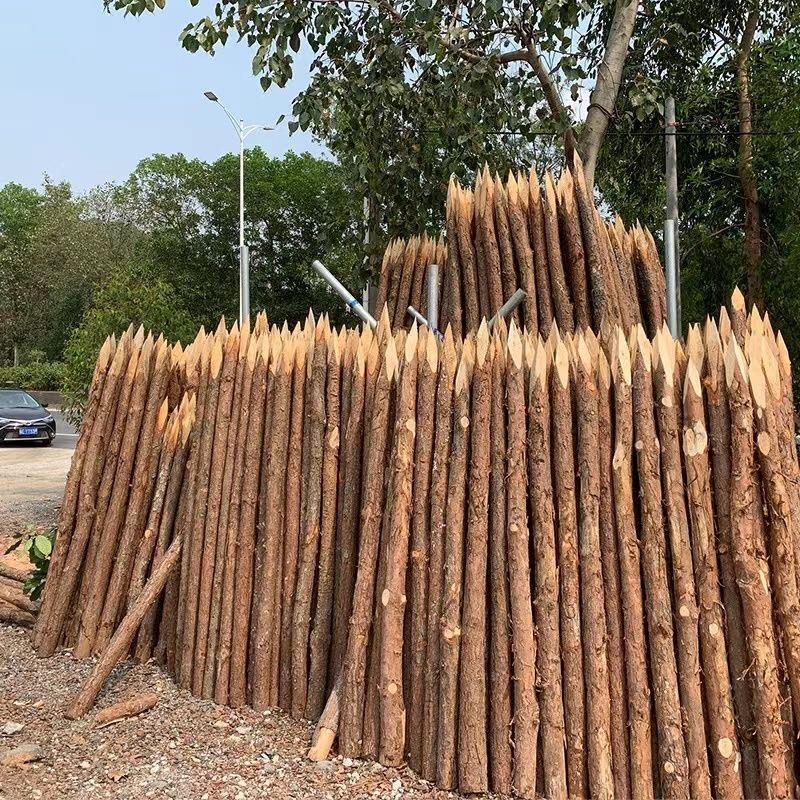 杉木桩松木桩落叶松河道打桩木防洪木桩檩条河道加固