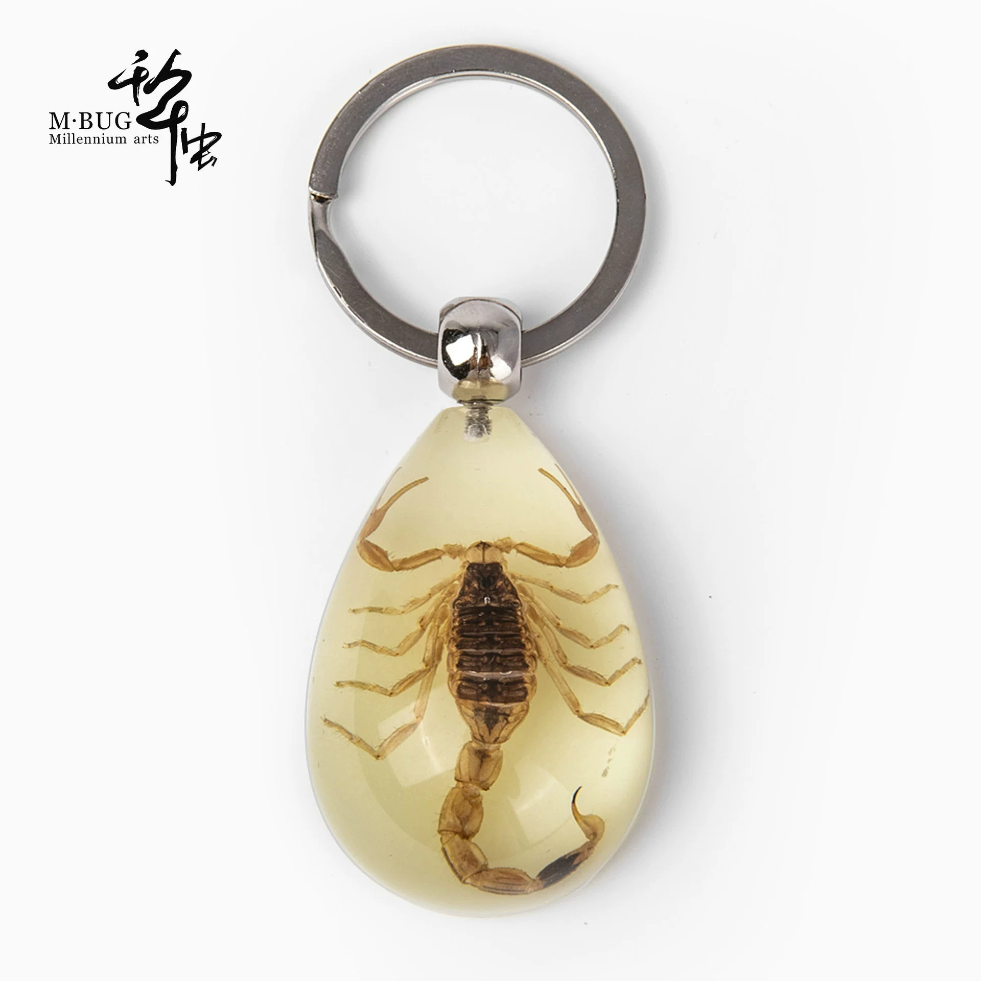 П Millennium Bug Highly Transparent Resin Glue Luminous Scorpion Scarab Hu Feng Real Insect Specimen Gift Keychain