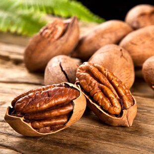 9.8KG/���̸����L�۹��ք��Թ�����ɽ�������l��؛ɢ�b���e��ʳ