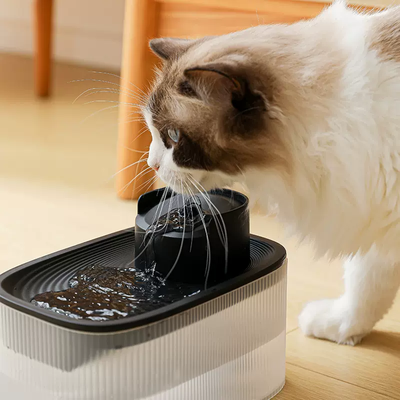 新款智能宠物饮水机感应出水净水猫咪饮水机猫喂水器多色跨境专供