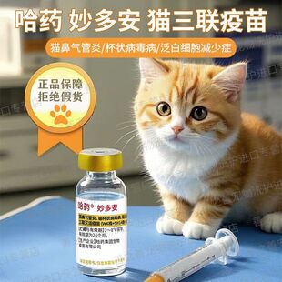 ؈�����ș��ల��ǰ����T�v�������A��؈�ǚ���ױ���؈����