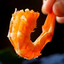 ��ʳ��̖�r���ش��L���r΢�����r̼���r�ɺ��r��؛���r�a�}��ʳ