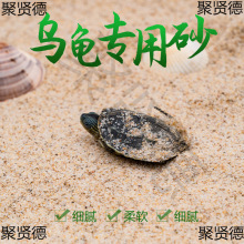 孵化乌龟草龟天然底砂产蛋鱼缸装饰造景砂子冬眠下蛋养殖沙河沙