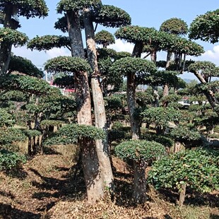 �������ܮa��ֱ�N  �������ܴ�СҎ���Rȫ  ���l����