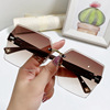 Summer glasses for leisure, trend sunglasses, 2022 collection, internet celebrity