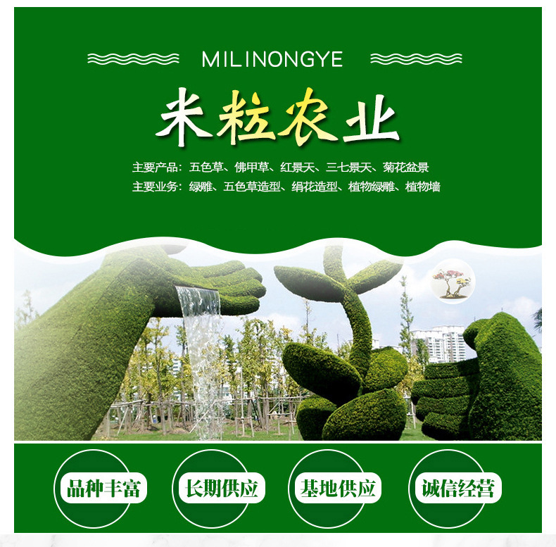 O1CN01Y0VWjd1KaU3LJzLV6_!!2747