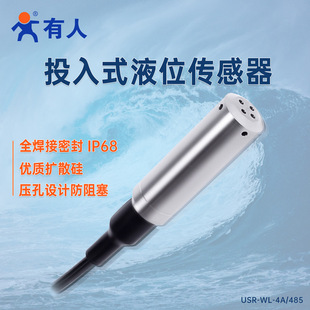 Immersion Type Liquid Level Sensor, Anti-Clogging, Anti-Corrosion, Anti-Rust, Stainless Steel, Fully Welded, Usr-Wl-4A/485