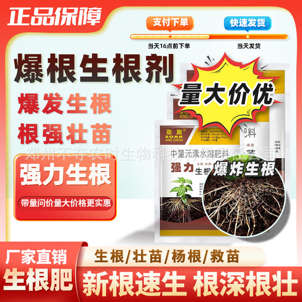 Rooting powder
