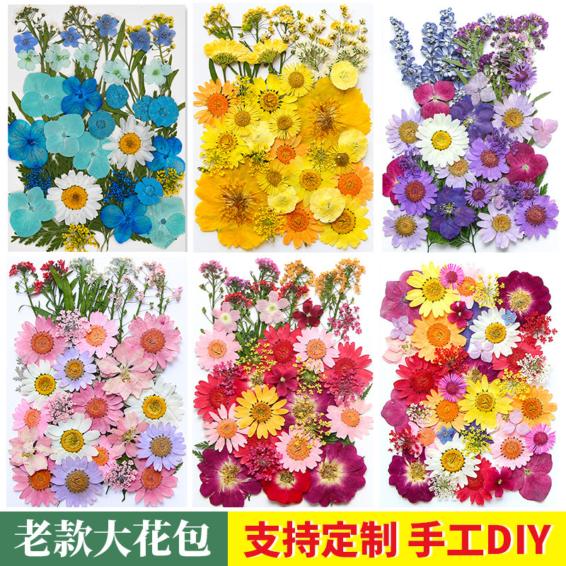 Spring Dried Flower Bookmarks in a Bottle, Handmade DIY Material Package, Plant Leaf Specimens, Plastic Sealing Film, Natural Embossing