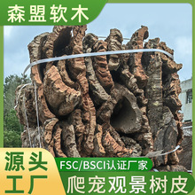 【现货】进口软木树皮鹿角蕨洋兰花空凤石斛爬宠躲避造景头道皮