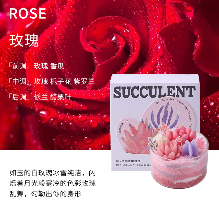 Serie de Velas Aromáticas de Suculentas DIY, Divertido Salón de Manualidades, Recuerdo con Forma de Cactus, Venta al por Mayor