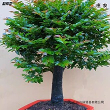 С�~��̴�辰�䘶�҃ȿ͏d�̨���������Ϙ��Gֲ�ļ�����