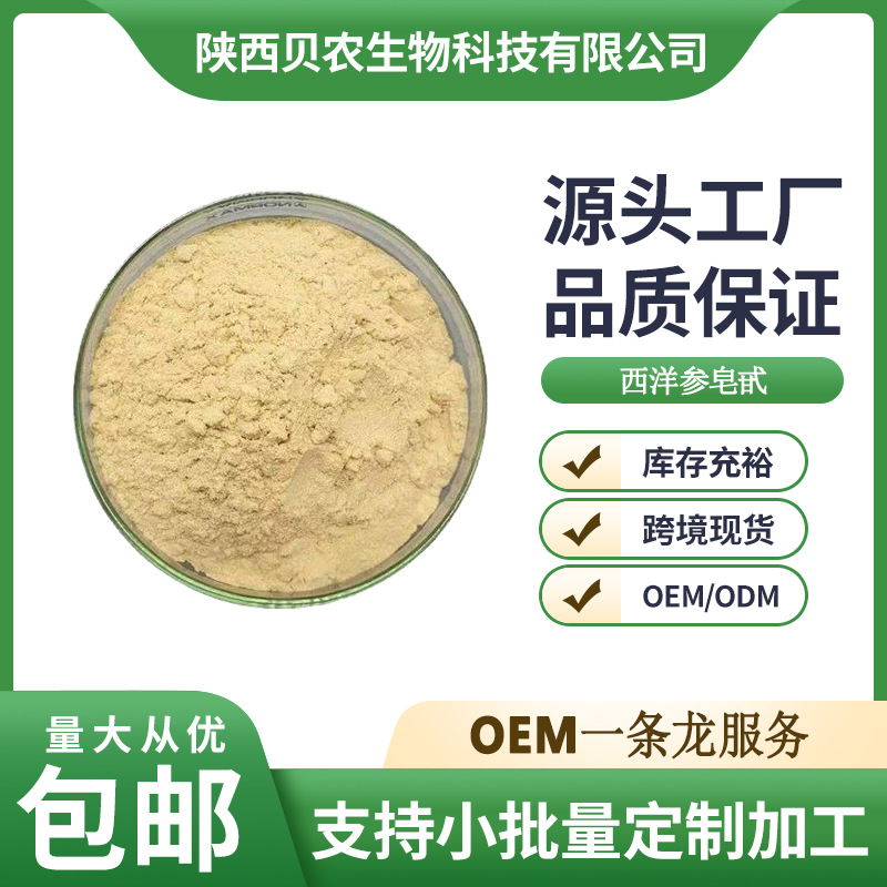 西洋参皂甙 80% 西洋参提取物 西洋参粉 西洋参皂苷 贝农供应