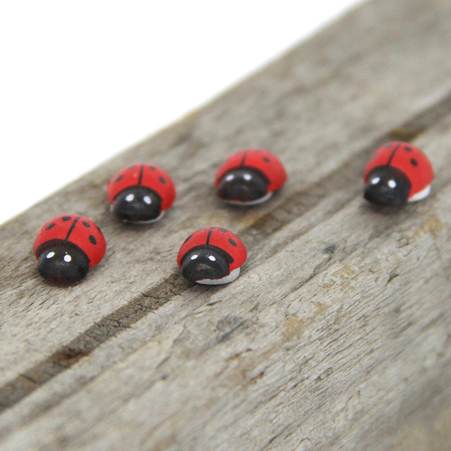 Micro-landscape mini ladybug, wooden beetle, cartoon beetle, moss micro-landscape succulent ornaments