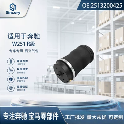 for Mercedes-Benz R-Class 251, Suspension and Shock Absorber Systems