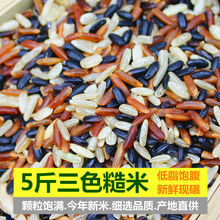 三色糙米新米5斤五谷杂粮红米黑米糙米糊粗粮健身胚芽米脂减饭1斤
