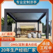 户外凉亭庭院遮阳遮雨棚室外露台院子别墅电动休闲中式百叶阳光房