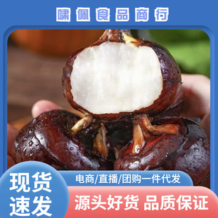 �V�������R�����r�F���R����]����ˮ��ݩ�j�R��һ�����l���b