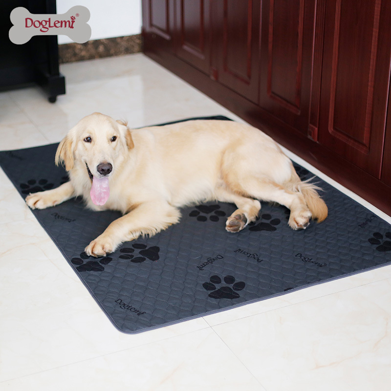 Customized Pet Toilet Mat, Thickeneded, Instant Absorbent, Washable Dog Toilet Mat, Training Pet Fixed-Point Pee Blanket