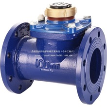 LXLC水表DN80 100 150法兰水表 可拆式水表干式水表 防冻污水水表