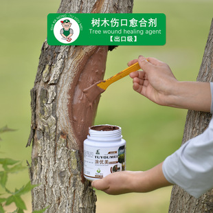�T����ֲ����ډTĤ������䏿ڱ��oĤ��������Ƥ�������z���τ�