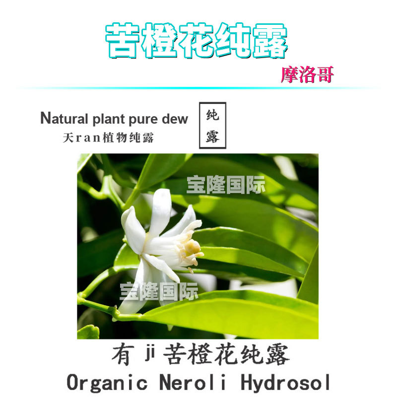 摩洛哥 苦橙花纯露 Neroli Hydrosols 植物花水 化妆品原料 1KG