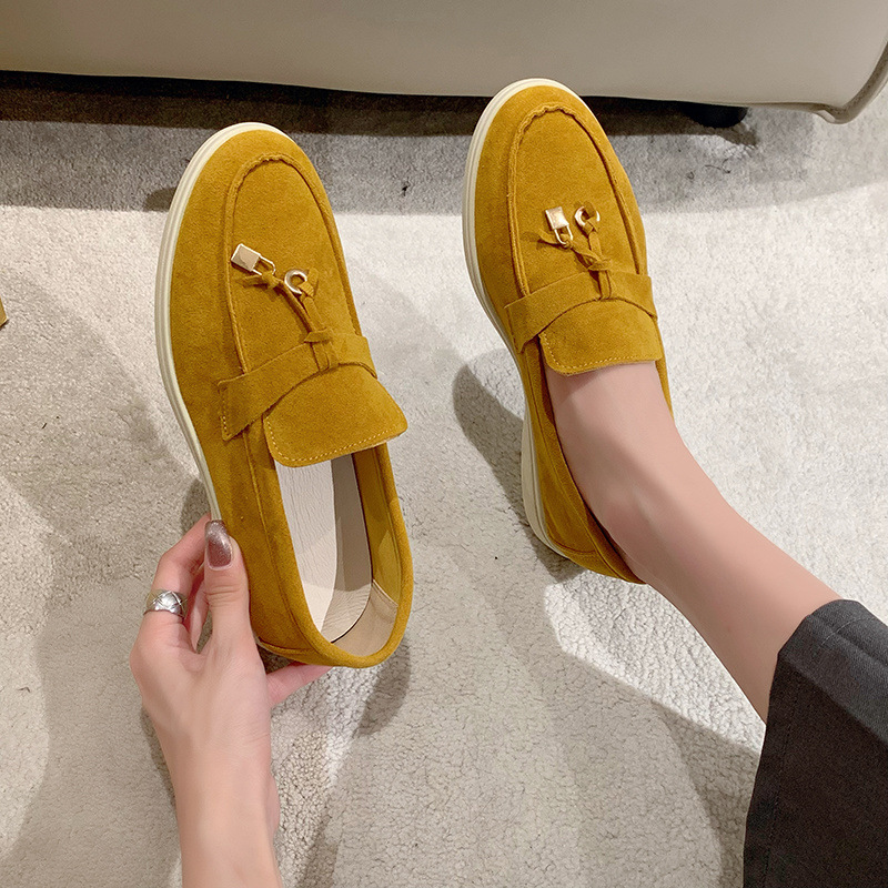 강황 [카운터 품질]