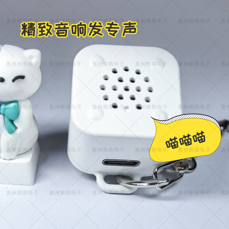 跨境解压按键发声发光充电小猫咪钥匙扣按压发声挂件儿童玩具|undefined