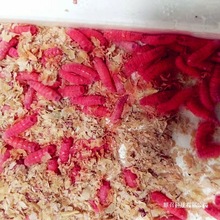 ��~���x���w�~�D�Ϫʯ�߻��x�r���̖�t���R�ڹ��~���a�~�D��