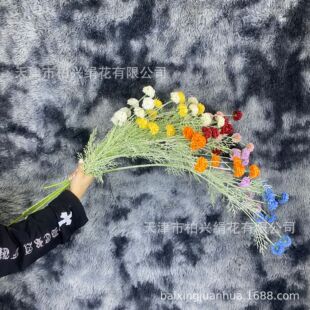 ins������^�ѹ�Ӣ �����ٻ� �����Ҿӿ͏d�b� �����[���Ĕz����