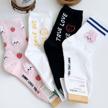 ݮСӡnmﶬINSLӢĸɐͲŮmͨ