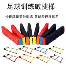 ����Ӗ�������ݲ����K��ܛ���ٶȃ�ͯ�w��Ӗ�����������݅f�{�Խy