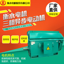 衡水猛牛电机马达YL、YLKK立式高压电动机三相异步500kw375kw厂家