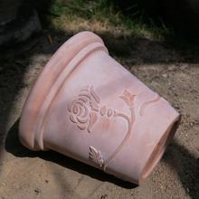 ?�t�ջ������͸�������F���׏͹���ˇͥԺ�Gֲ���������_�R����