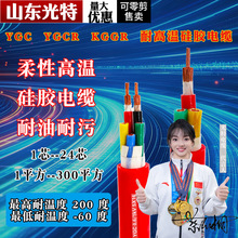 YGC耐高溫硅橡膠耐油污電纜軟銅線6 10 16 25 35 50 70 150 185平