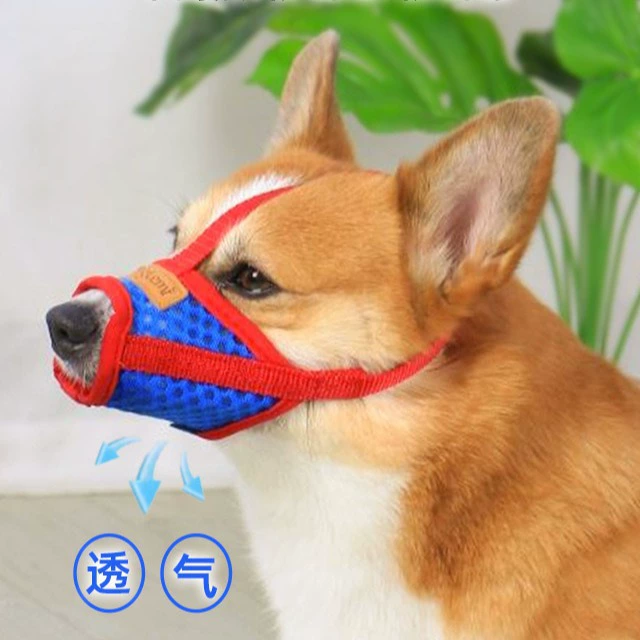 Защита от укуса собаки